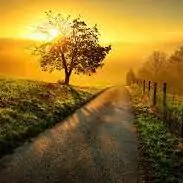sunrise dp images sunrise dp images